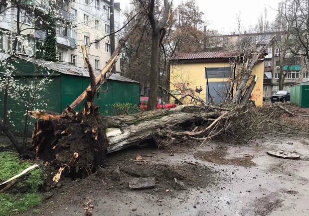 В Одесі розпочався деревопад та зупинилися трамваї. 