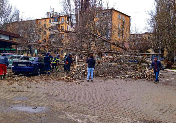 В Одессе упавшее дерево сломало женщине ноги. 