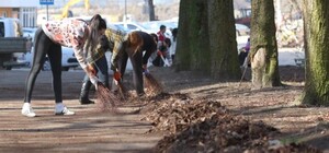 У Львові розпочалася велика толока