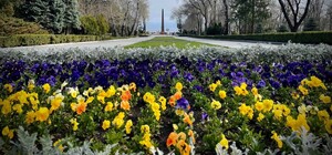 В Одессе отмечают День освобождения от фашистских захватчиков (фото, видео)