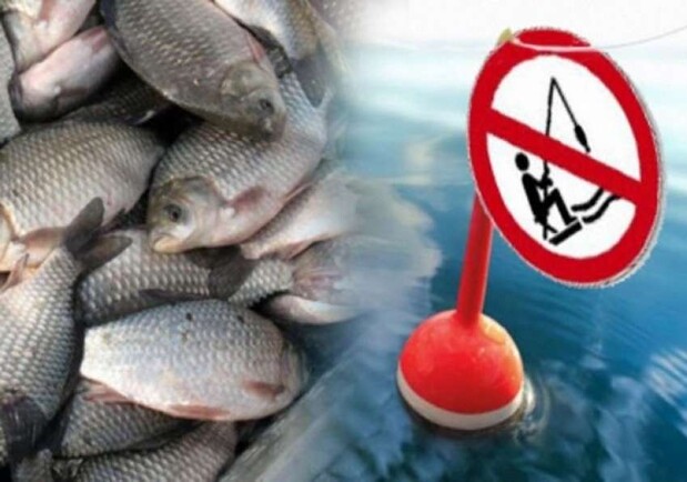 В Одесской области вступил в силу нерестовый запрет на вылов рыбы. 