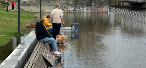 Стало известно, что пик паводков в Киеве еще впереди
