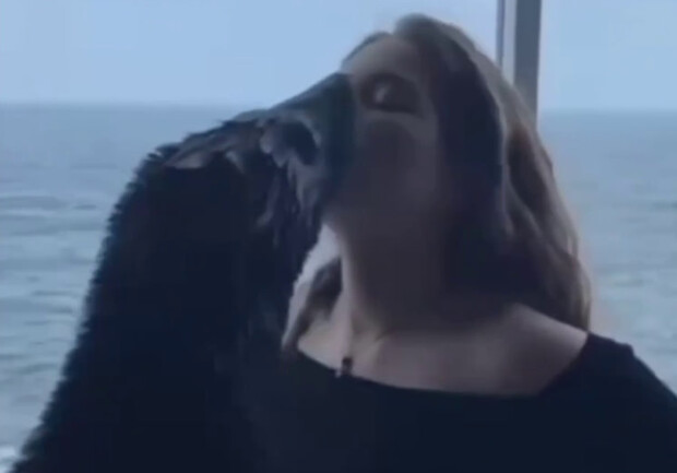 Одесситов возмутили фотосессии дельфинария "Немо" с морскими котиками. 