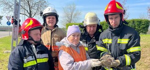 В Запорожье спасли кошку с котятами от змеи