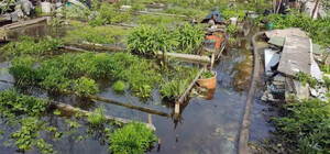 Какая ситуация с подтоплением в Днепропетровской области на 28 апреля