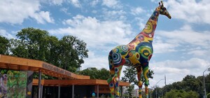 В результате ночной атаки на Киев, обломки ракеты упали на территорию зоопарка: видео