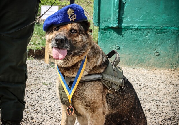 В Одесской области наградили служебную собаку Киру. 