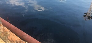 Сухой лиман в Одесской области загрязнили нефтепродуктами 