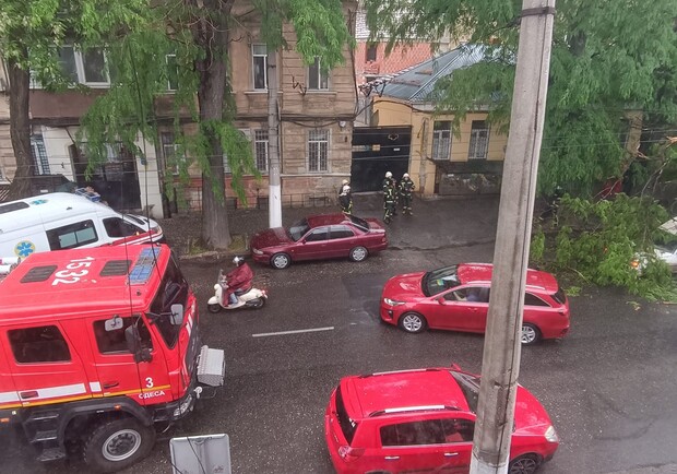 Через негоду в Одесі впали п'ять дерев: одне з них мало не зачепило автомобіліста на дорозі. 