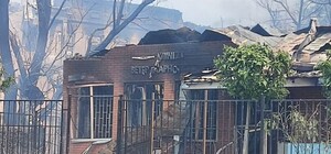 У Дніпрі потрібна допомога ветклініці, яка постраждала через ракетну атаку