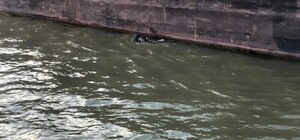 В Одесской области нашли утопленника 