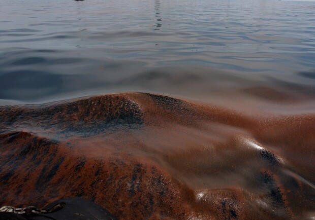 В Одессе возле пляжа Отрада обнаружили пятно из нефтепродуктов. 