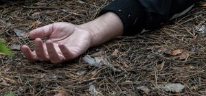 У парку Кіото біля метро Лісова знайшли тіло людини у військовій формі