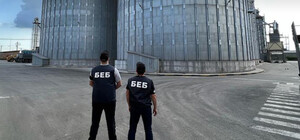 В Одесі викрили нелегальних експортерів зерна