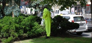 В центре Днепра боролись с крысами, которые разносили мусор