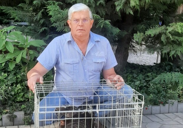 В Одесском зоопарке принимают животных из Херсона: кого можно пристроить. 