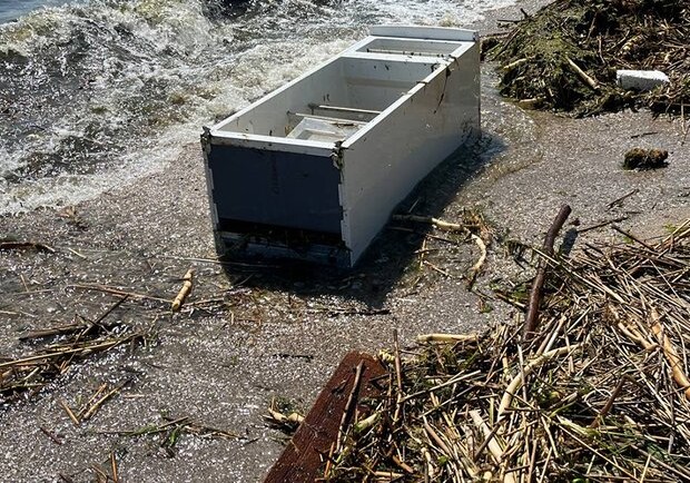 Подрыв Каховской ГЭС: как с пляжей Одессе будут убирать принесенный течением мусор. 