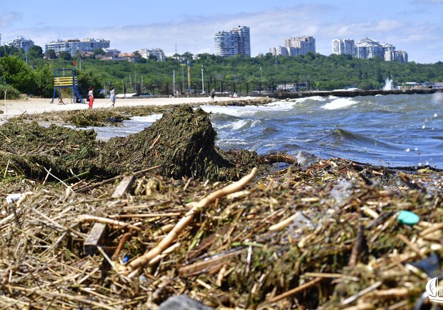 Сміття та гілки замість тапчанів: як виглядає узбережжя Одеси зараз. 
