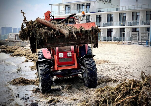 Жабы и бревна: на пляжах Одессы начали убирать мусор. 