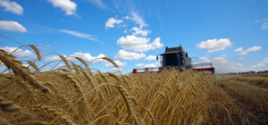 На Одещині стартував збір урожаю