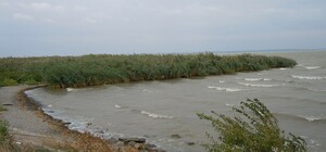 Получи ответ: на каких озерах в Одесской области можно купаться и ловить рыбу