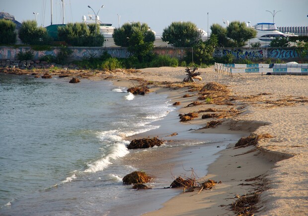 Сміття та плавні: в Одесі не прибирають пляж у курортному мікрорайоні. 