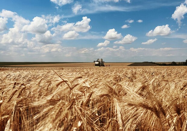 Аграрії Одеської області намолотили понад 800 тисяч тонн зерна. 