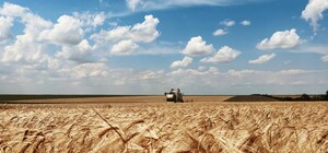 Аграрии Одесской области намолотили более 800 тысяч тонн зерна