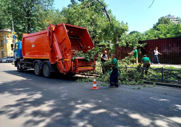 Штормова погода в Одесі: у місті впало 20 дерев, а в області на морі вибухнули міни. 
