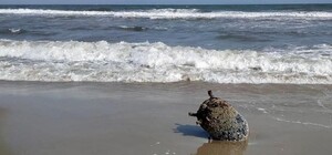 На узбережжя Одеської області штормом викинуло морську міну