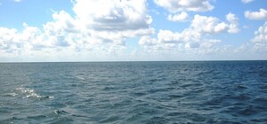 На вихідних три іноземні судна зайшли до Одеської області: що це було