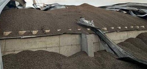 Росія зіпсувала 40 000 тонн зерна на Одещині: ціни на продовольство піднялися