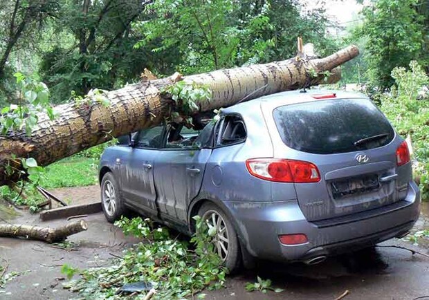 Одессит отсудил у городского совета более 450 тысяч гривен за поврежденное упавшим деревом авто. 