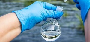 Стала відома причина замору риби на Тилігульському лимані