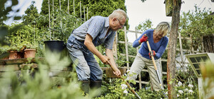 Посевной календарь на сентябрь 2023 года: благоприятные и неблагоприятные дни для работы на огороде и в саду