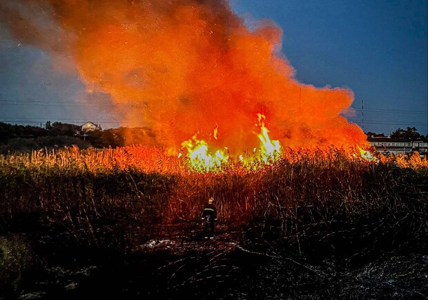 В Одессе на полях фильтрации снова произошел масштабный пожар. 