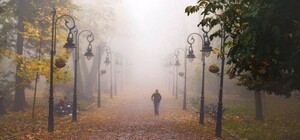 Синоптики попередили про туман у Львові 