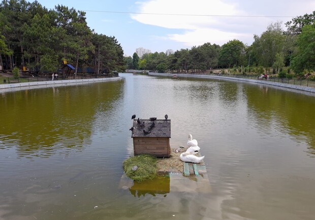 Одну из аллей парка Победы в Одессе назовут в честь СБУ: подробности. 