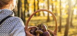 У Харкові подружня пара отруїлася грибами