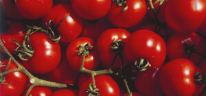 Где в эти выходные в Киеве пройдут продуктовые ярмарки. Адреса