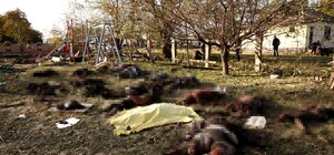 ООН провел заседание Совбеза из-за ракетного удара по Грозе на Харьковщине: что сказали в РФ (видео)