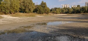 В Киеве ищут исполнителя работ для расчистки озера Синее