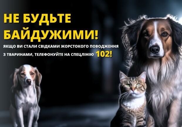В Одесской области пенсионер до смерти избил собаку. 