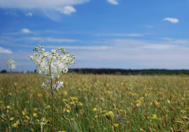 Что известно о большом новом нацпарке, который создали в Одесской области 