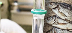 В Запорожской области зафиксирован случай смерти от ботулизма