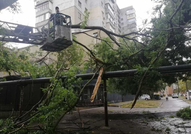 Негода у Одесі повалила дерева: комунальники ліквідують наслідки. 