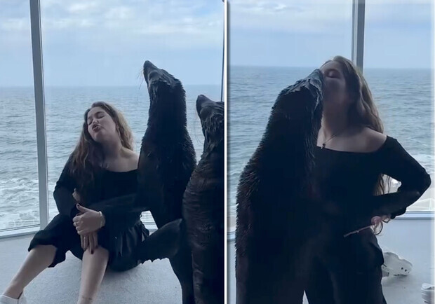Фотографировались с морскими котиками в номере: чем закончился скандал в дельфинарии "Немо" в Одессе. 