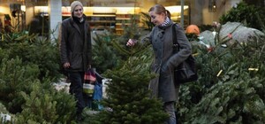 Украинцы могут проверить легальность елок перед покупкой