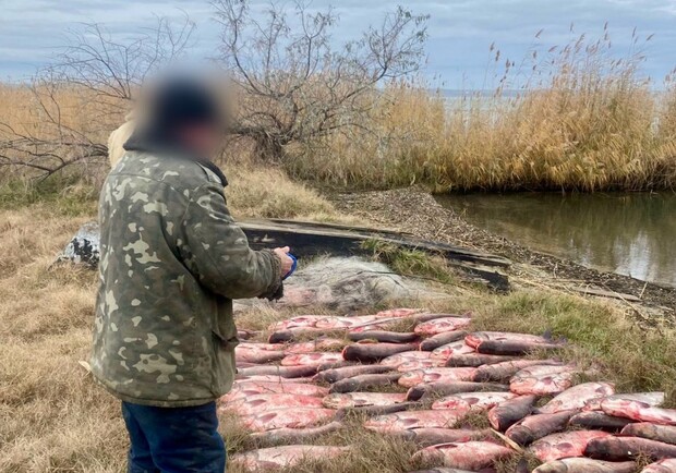 Виловив риби на 300 тисяч гривень: на Одещині затримали браконьєра. 
