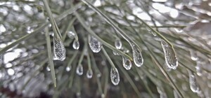 На Одессу надвигаются морозы